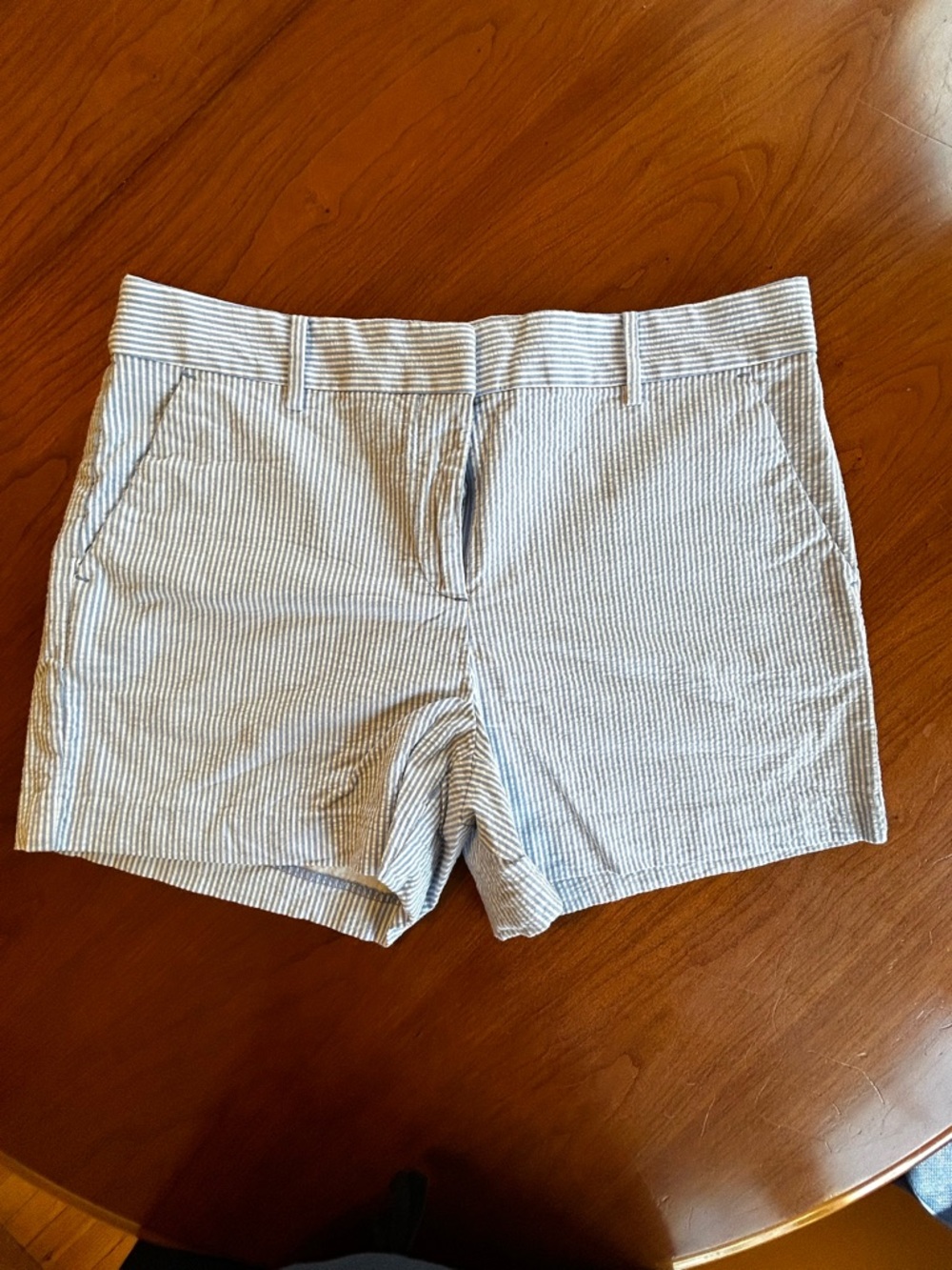 LOFT Riviera Women’s Size 10 Blue and White Striped Seersucker Shorts